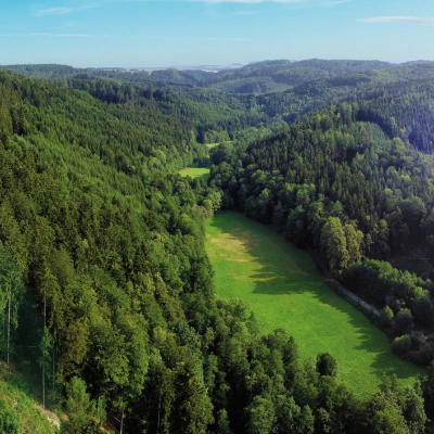 ДУМАЕМ О БУДУЩИХ ПОКОЛЕНИЯХ