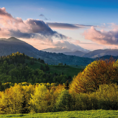 ДУМАЕМ О БУДУЩИХ ПОКОЛЕНИЯХ