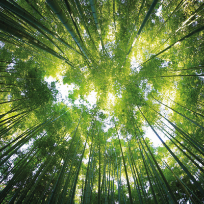 ДУМАЕМ О БУДУЩИХ ПОКОЛЕНИЯХ